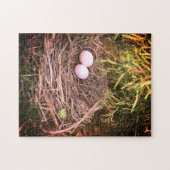 Dove Nest & Eggs Puzzle (Horizontal)