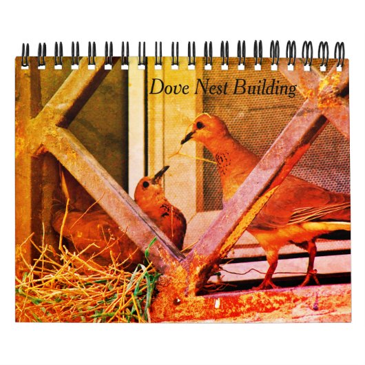 Dove Nest Gebäude Kalender (Titelbild)