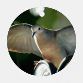 Dove of Peace Bird Photography Customizable Ornament Aus Metall (Rückseite)