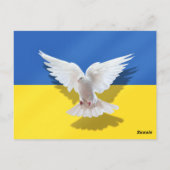 Dove of Peace Flag of Ukraine Postcard Support Postkarte (Rückseite)