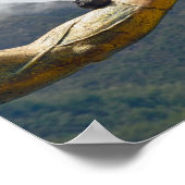 Dove, Pachacuti Statue Arm, Aguas Calientes, Per Poster (Ecke)