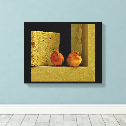 Dove Pair Leinwanddruck (Insitu (Holzboden))