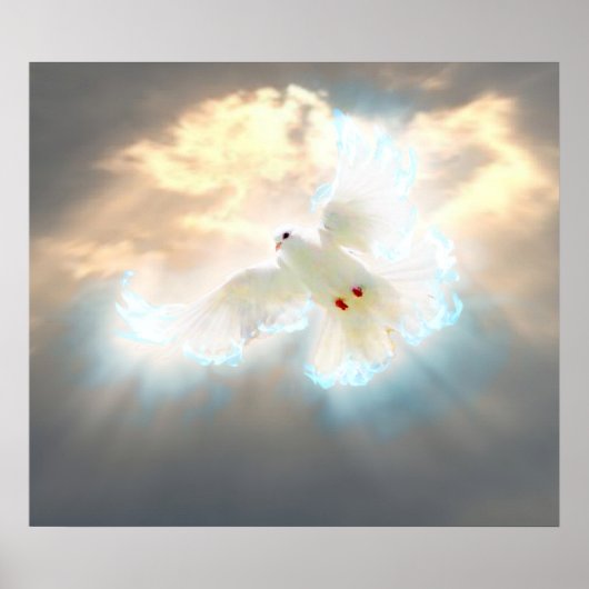 Dove Poster (Vorne)