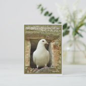 Dove Postkarte (Stehend Vorderseite)