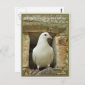 Dove Postkarte (Vorne/Hinten)