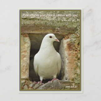 Dove Postkarte