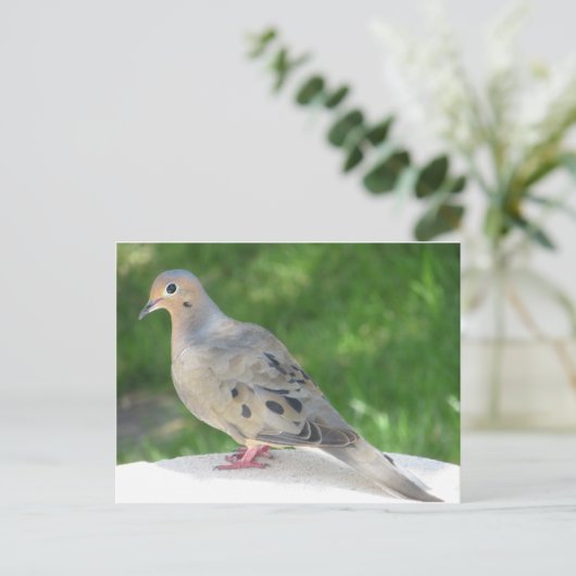 Dove Postkarte (Stehend Vorderseite)