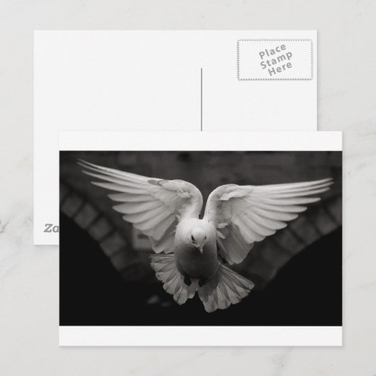 Dove Postkarte (Vorne/Hinten)