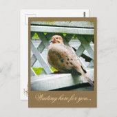 "DOVE" POSTKARTE (Vorne/Hinten)