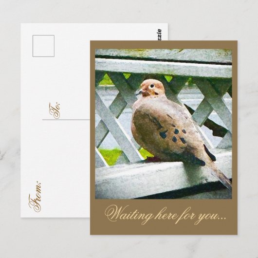 "DOVE" POSTKARTE (Vorne/Hinten)