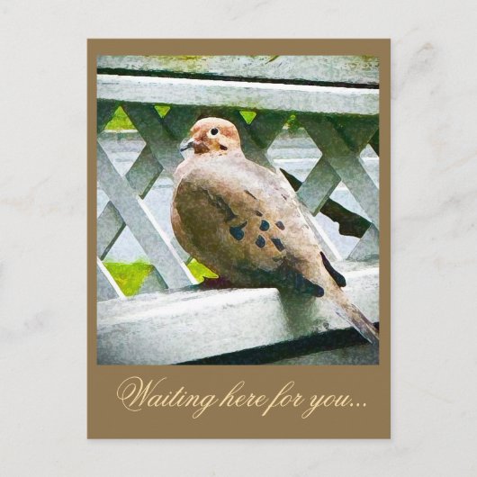 "DOVE" POSTKARTE (Vorderseite)