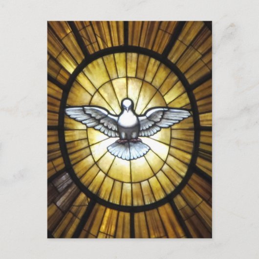 Dove Postkarte (Vorderseite)