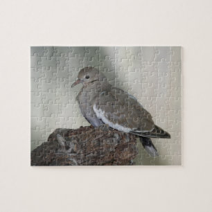 Dove Puzzle komprimieren