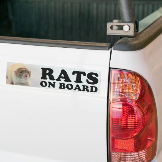 (Dove) Ratten man board Autoaufkleber (Auf Lkw)