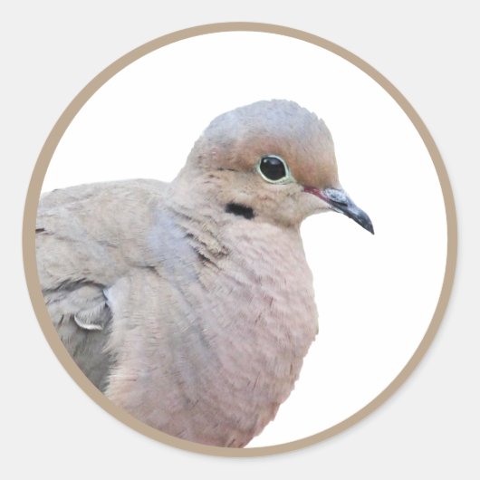 Dove Runder Aufkleber (Vorderseite)