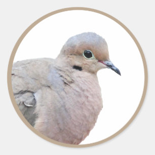Dove Runder Aufkleber