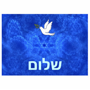 Dove - Shalom Fotoskulptur Magnet