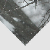 Dove Tissue Paper Seidenpapier (Ausschnitt)
