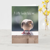 Dove Überraschung Glückwunsch Gruß Karte (Gelbe Blume)