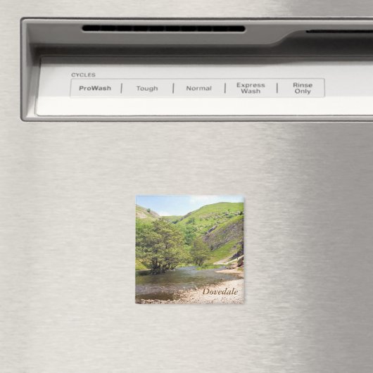 Dovedale Magnet (In Situ (Geschirrspüler))