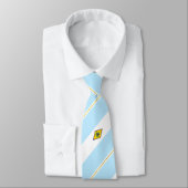 Dover (Delaware) Stadtflagge Neck Tie Krawatte (Gebunden)