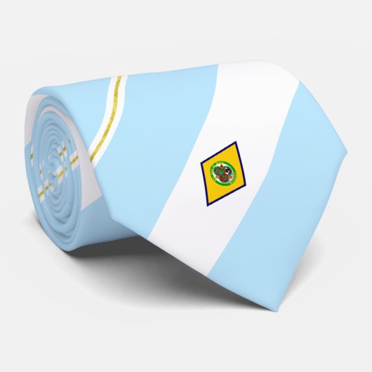Dover (Delaware) Stadtflagge Neck Tie Krawatte (Gerollt)