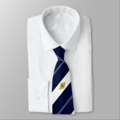 Dover (Delaware) Stadtflagge Neck Tie Krawatte (Gebunden)
