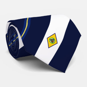 Dover (Delaware) Stadtflagge Neck Tie Krawatte