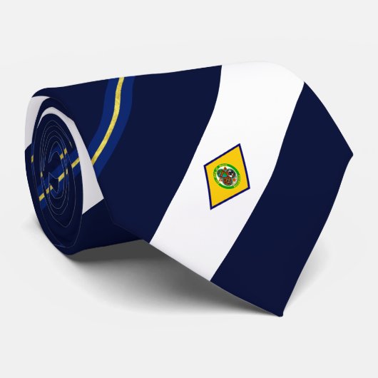 Dover (Delaware) Stadtflagge Neck Tie Krawatte (Gerollt)