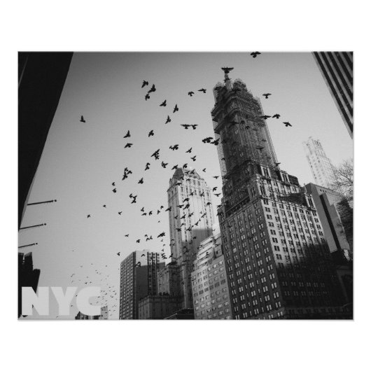 Doves over Manhattan Poster (Vorderseite)