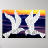 Doves Poster (Vorne)
