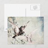 Doves Postkarte (Vorne/Hinten)