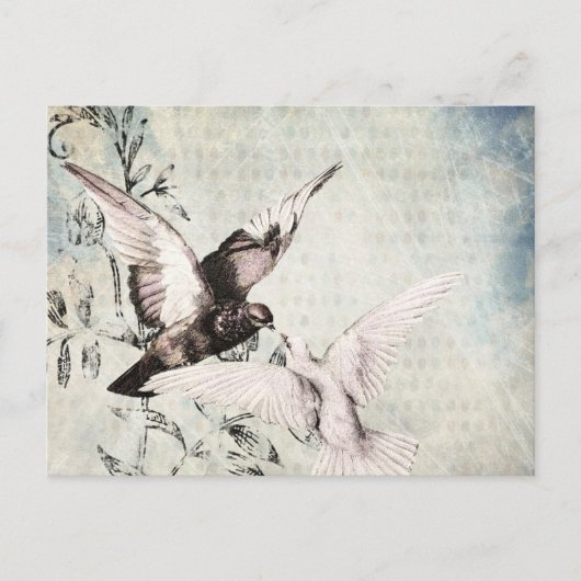 Doves Postkarte (Vorderseite)