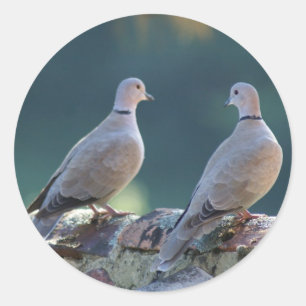 Doves Runder Aufkleber