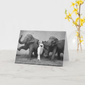 Dovima Karte (Gelbe Blume)