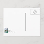 Down Chicago River Postcard Postkarte (Rückseite)