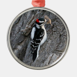 Downey Woodpecker Ornament Aus Metall
