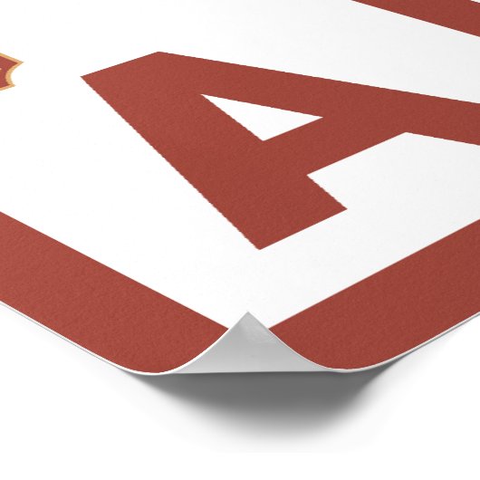 Downhhill Snow Skier - Alaska Poster (Ecke)