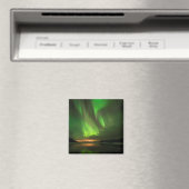 Downstream Aurora Magnet (In Situ (Geschirrspüler))