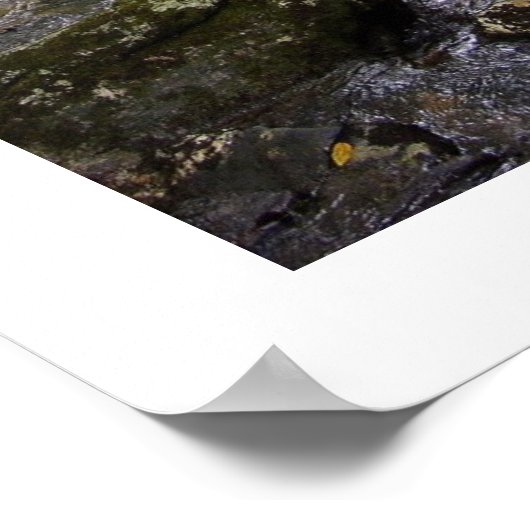 Downstream Poster (Ecke)