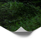 Downtown Austin Skyline aus Norwood - Austin Texas Poster (Ecke)