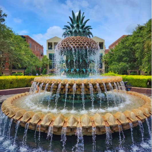 Downtown Charleston, SC Gebäude Poster