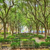 Downtown Charleston, SC Gebäude Poster