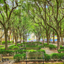 Downtown Charleston, SC Gebäude Poster