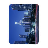 Downtown Los Angeles Magnet (Vertikal)