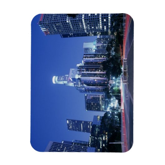 Downtown Los Angeles Magnet (Vertikal)