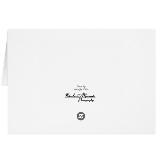 Downtown Springfield (Rückseite Horizontal)