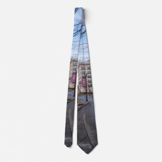 Downtown Springfield Neck Tie Krawatte (Rückseite)