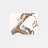 Downy Brown Squirrel House Post-it Klebezettel (Vorderseite)