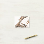 Downy Brown Squirrel House Post-it Klebezettel (Auf Schreibtisch)